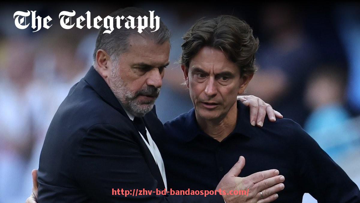 半岛体育-最新赛季德甲球队在欧战中的表现综述