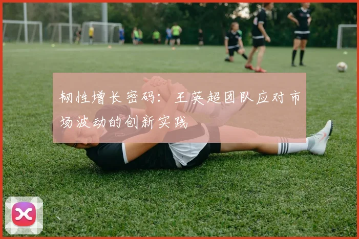 韧性增长密码：王英超团队应对市场波动的创新实践